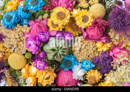 Arrière-plan coloré fait d'arrangement de fleurs séchées Banque D'Images