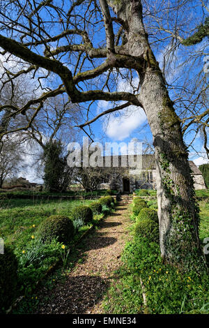 L'église est l'édifice majeur dans le minuscule hameau pittoresque de chalets (Piddle flaque) dans le Dorset, Angleterre, Royaume-Uni. Banque D'Images