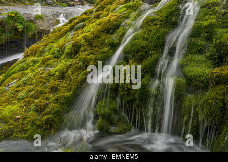 Gjaarfoss, cascade de la vallée de Thjorsardalur, Islande. L'eau potable fraîche. Banque D'Images