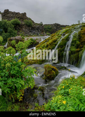 Gjaarfoss, cascade de la vallée de Thjorsardalur, Islande. L'eau potable fraîche. Banque D'Images