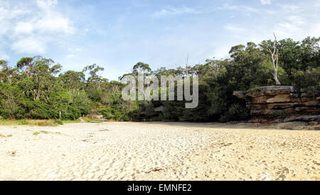 Collins Beach at Spring Cove à Manly, Sydney, Australie. Banque D'Images