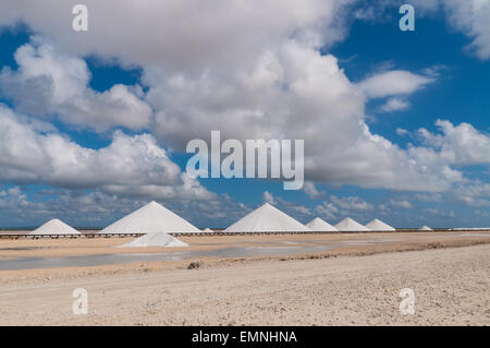 Les montagnes de sel à Bonaire - Antilles néerlandaises, caraïbe. Banque D'Images