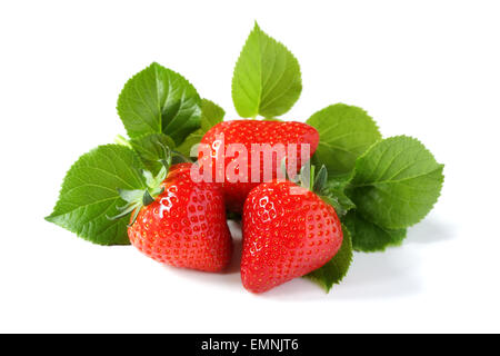 Fraises rouge frais mûrs isolated on white Banque D'Images