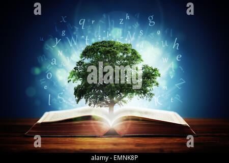 Arbre de la connaissance Banque D'Images