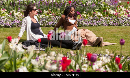 Londres, Royaume-Uni. 22 avril 2015. Grâce à la récente beau temps, les tulipes dans Hyde Park mis sur un spectaculaire concours de printemps pour les touristes et les habitants, comme ces employés de bureau sur leur pause déjeuner, à savourer. Crédit : Stephen Chung / Alamy Live News Banque D'Images