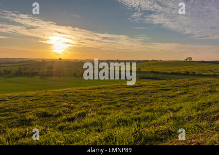 Paysage du comté anglais du printemps - coucher du soleil à Edwinshall Bois Banque D'Images