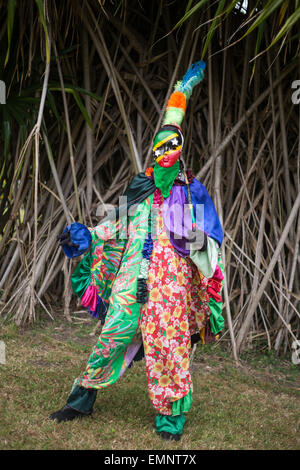 Spectacle culturel de mascarade danseurs, à Saint-Kitts et Nevis, dans les Caraïbes. Banque D'Images