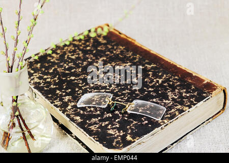 Branches de printemps dans un flacon en verre, de vieux livres et lunettes vintage sur le livre Banque D'Images