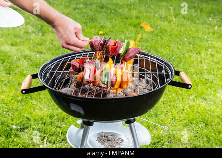 De délicieux légumes et viandes sur grill brochette Banque D'Images