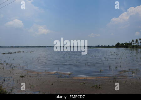 Belle vue sur les backwaters et les plantes de noix de coco Banque D'Images