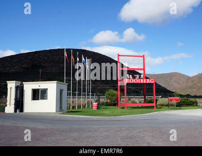 Depuis 2013, Rooiberg Winery a porté le plus grand président de l'Afrique ce qui en fait une attraction touristique populaire. Banque D'Images