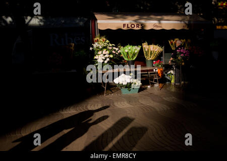 Barcelone, Catalogne, Espagne. Apr 23, 2015. Un magasin de fleur dans la Rambla de Barcelone tôt le matin du 23 avril 2015. Saint George's est présent dans les rues de Barcelone. La tradition de Sant George's day hommes commandes pour donner une rose et d'adresses pour les femmes dans un signe d'amour. © Jordi Boixareu/ZUMA/Alamy Fil Live News Banque D'Images