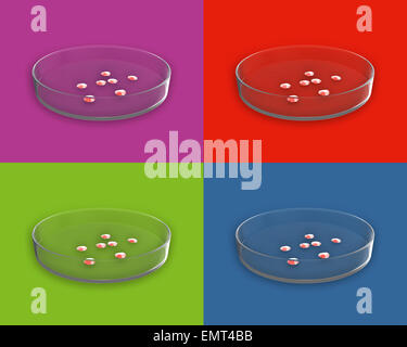 Ensemble de Close up Glass pétri avec des bactéries sur les fonds de couleur Banque D'Images