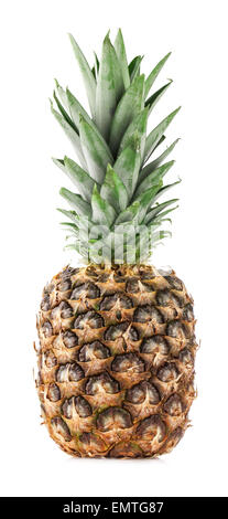 Les fruits ananas isolé sur fond blanc Banque D'Images