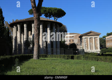 L'Italie. Rome. Le temple circulaire d'Hercule Victor (autrefois pensé pour être un Temple de Vesta). Construit au deuxième siècle av. Banque D'Images