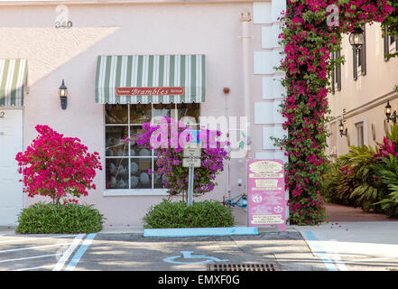 Façade de charme et l'entrée sur le côté allée de ronces Salon de thé dans le vieux Naples, Floride Banque D'Images