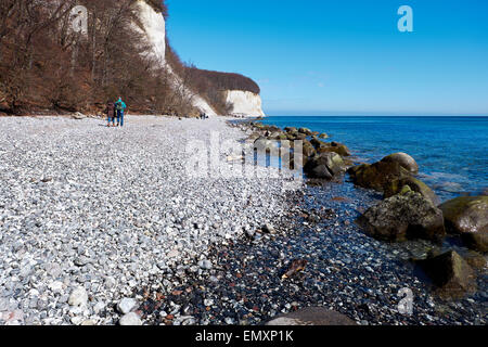 Les falaises de craie hautes à la côte de l'île de Rugen, Parc National de Jasmund Banque D'Images