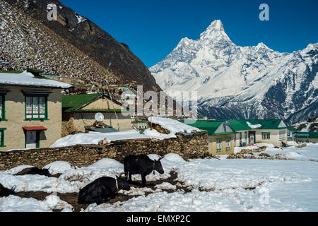 Vue sur l'Ama Dablam mont du village de Khumjung Banque D'Images