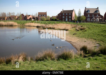 Gog Brook Farm pool, Chase Meadow, Warwick, Warwickshire, England, UK Banque D'Images