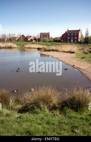 Gog Brook Farm pool, Chase Meadow, Warwick, Warwickshire, England, UK Banque D'Images