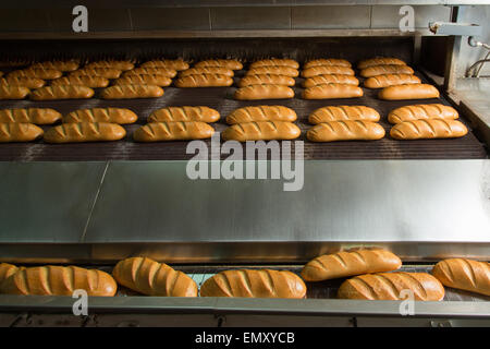 Du pain tout chaud frais loafs sur la ligne de production Banque D'Images