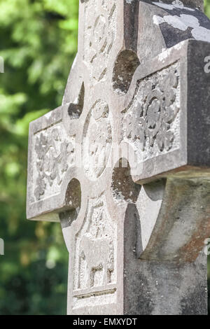 Vieux cimetière irlandais cross à Abbaye de Muckross, comté de Kerry, Irlande Banque D'Images