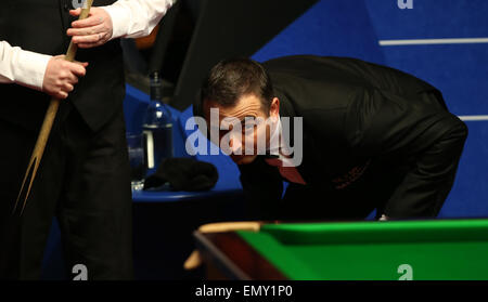 Sheffield. Apr 23, 2015. Les yeux de l'arbitre le ballon au cours de la première session de la deuxième ronde du match entre l'Ecosse et de la Chine, John Higgins au Ding Junhui 2015 World Snooker Championship au 2015 World Snooker Championship au théâtre Crucible à Sheffield, en Angleterre, le 23 avril 2015. Higgins mène 5-3 après la première session. Credit : Han Yan/Xinhua/Alamy Live News Banque D'Images