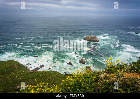 Fleurs jaunes et vue sur l'océan Pacifique, dans la région de Big Sur, en Californie. Banque D'Images