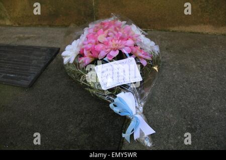 Sydney, Australie. 24 avril 2015. Fleurs et couronnes étaient placées au mémorial pour les chevaux du désert monté en avant de Corps ANZAC day. Il est situé au sud-ouest de la paroi externe de la Royal Botanic Gardens sur Macquarie Street. Crédit : Richard Milnes/Alamy Live News Banque D'Images