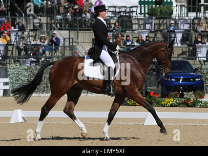 Lexington, Kentucky, USA. Apr 23, 2015. 23 avril 2015 : # 12 Haute Foxwood et Selena O'Hanlon terminer en 12e place sur le premier jour de dressage à la Rolex événement de trois jours au Kentucky Horse Park de Lexington, KY. Candice Chavez/ESW/CSM/Alamy Live News Banque D'Images