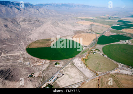 Les terres irriguées (centre pivot) et dans le désert inexploitées peu perdu River Valley, California Banque D'Images