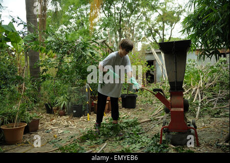 13 ans, fille, à l'aide de chipping / machine de débroussaillage dans la banlieue de jardin biologique. Banque D'Images