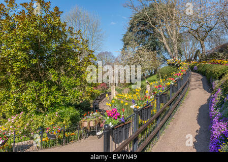 La Dingle at Quarry Park au printemps. Shrewsbury. Le Shropshire. UK Banque D'Images