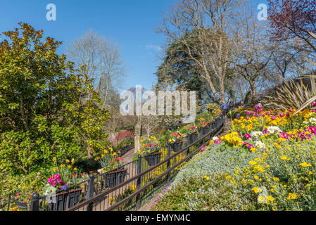 La Dingle at Quarry Park au printemps. Shrewsbury. Le Shropshire. UK Banque D'Images