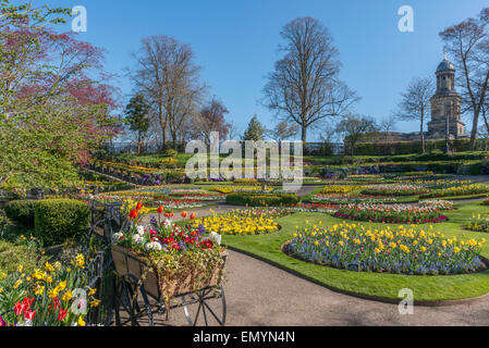 La Dingle at Quarry Park au printemps. Shrewsbury. Le Shropshire. UK Banque D'Images