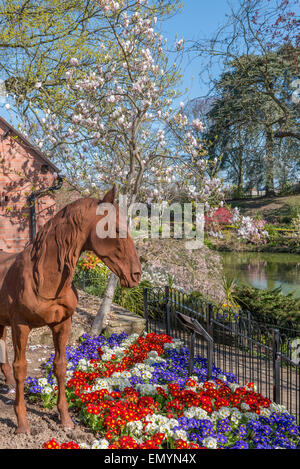 La Dingle at Quarry Park au printemps. Shrewsbury. Le Shropshire. UK Banque D'Images