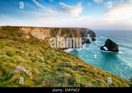 À Falaise et à des mesures Pentire à la mer des piles de Bedruthan sur la côte nord des Cornouailles de Padstow et Newq Banque D'Images