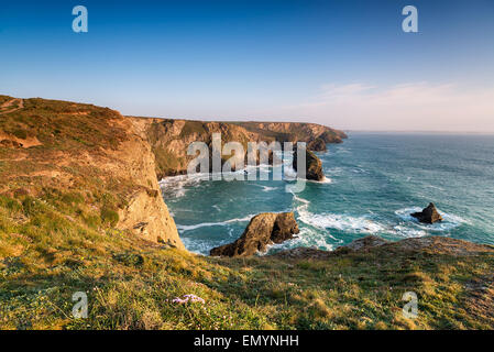 Le South West Coast Path comme il traverse les étapes Pentire sur la côte nord des Cornouailles en regardant la mer à piles Bedruthan Step Banque D'Images