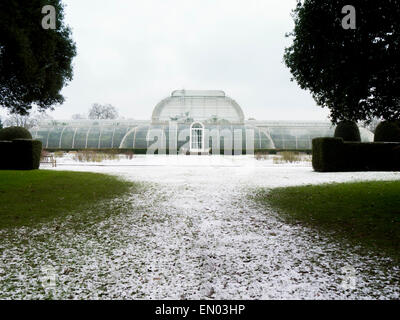 L'Europe, Royaume-Uni, Angleterre, Londres, les jardins de Kew Palm House d'hiver Banque D'Images