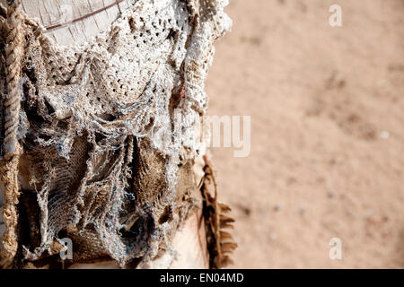 Détail d'une perche dans le désert près de Joshua Tree, California, enveloppés dans du tissu déchiré et texturées. Banque D'Images