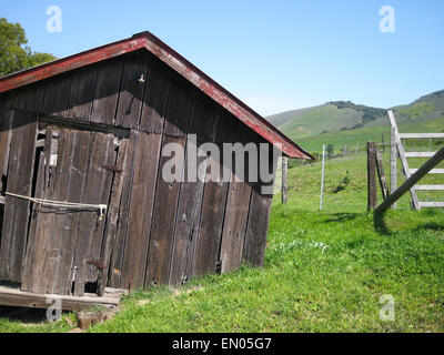 Une cabine qui semble tomber de côté dans la colline sur une ferme dans le Nord de la Californie. Banque D'Images