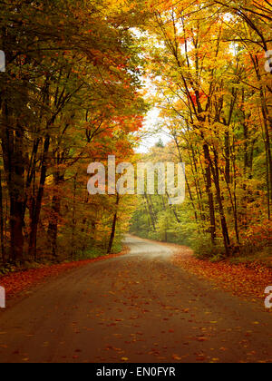 Des routes sinueuses à travers les magnifiques paysages nature automne misty colorés. Le Parc Provincial Algonquin, en Ontario, Canada. Banque D'Images