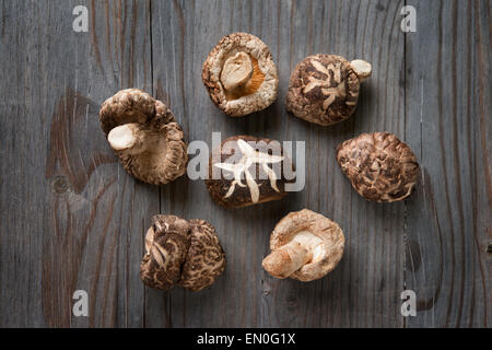 Champignons shiitake séchés sur fond de bois. Banque D'Images