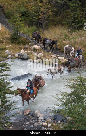 Expédition à cheval dans le Parc National Torres del Paine, Patagonie, Chili Banque D'Images