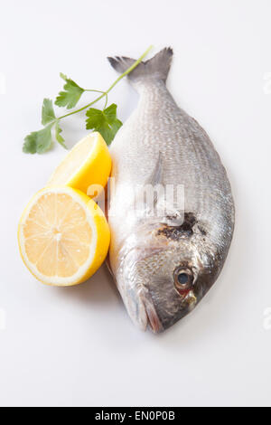 Matières dorade poisson avec certains ingrédients. Plus isolé sur fond blanc Banque D'Images