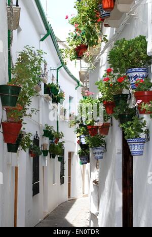 Rue étroite avec de jolies fleurs en pot sur le mur de la maison dans le Barrio la Villa district, Priego de Cordoba, Espagne. Banque D'Images