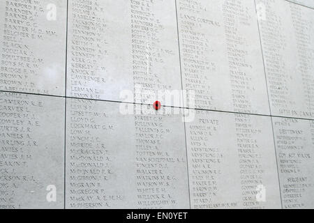 Un coquelicot est blotti dans un trou dans la porte de Menin (Menenpoort) à Ypres, Belgique le 22 avril 2015 Banque D'Images