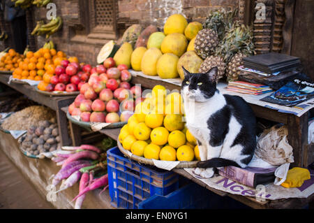 Market stall, Katmandou, Népal, Asie Banque D'Images