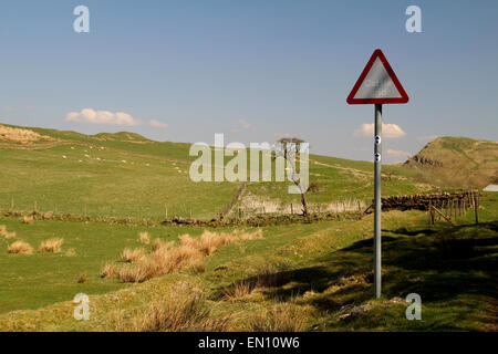 Grille de bovins signe à Walltown, mur d'Hadrien, Northumberland Banque D'Images