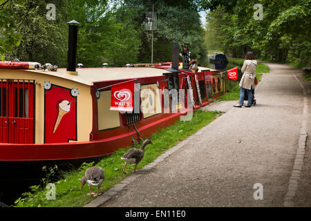 Royaume-uni, Angleterre, dans le Yorkshire, Saltaire, Leeds et Liverpool Canal, oies sur chemin de halage à sont Jay Bargie floating ice cream shop Banque D'Images